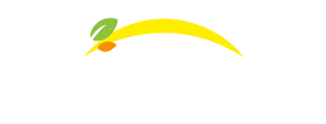Bonduelle - Tagasi esilehele